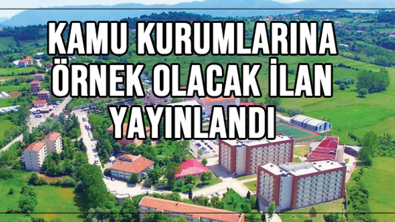 Kamu kurumlarına örnek olacak ilan yayınlandı