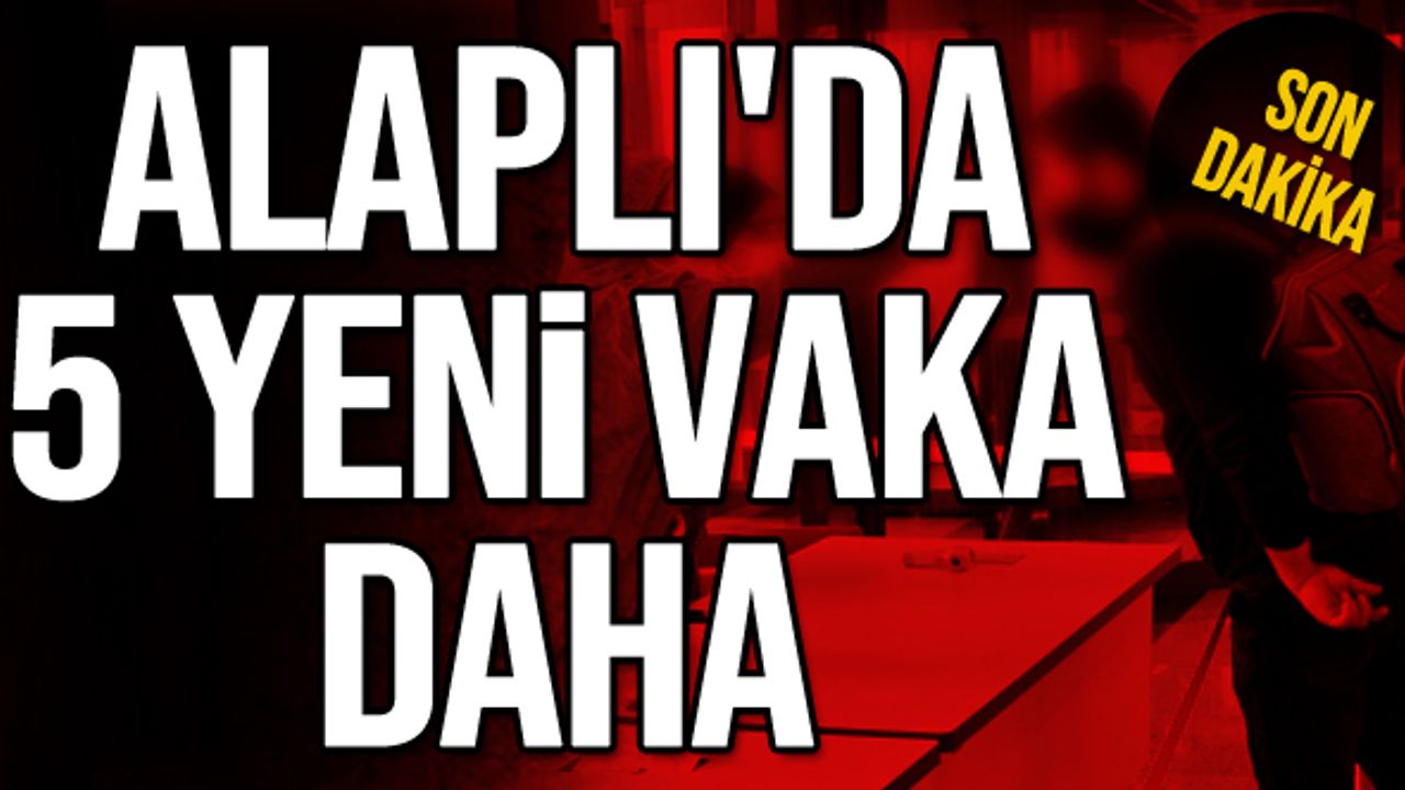 ALAPLI'DA 5 YENİ VAKA DAHA