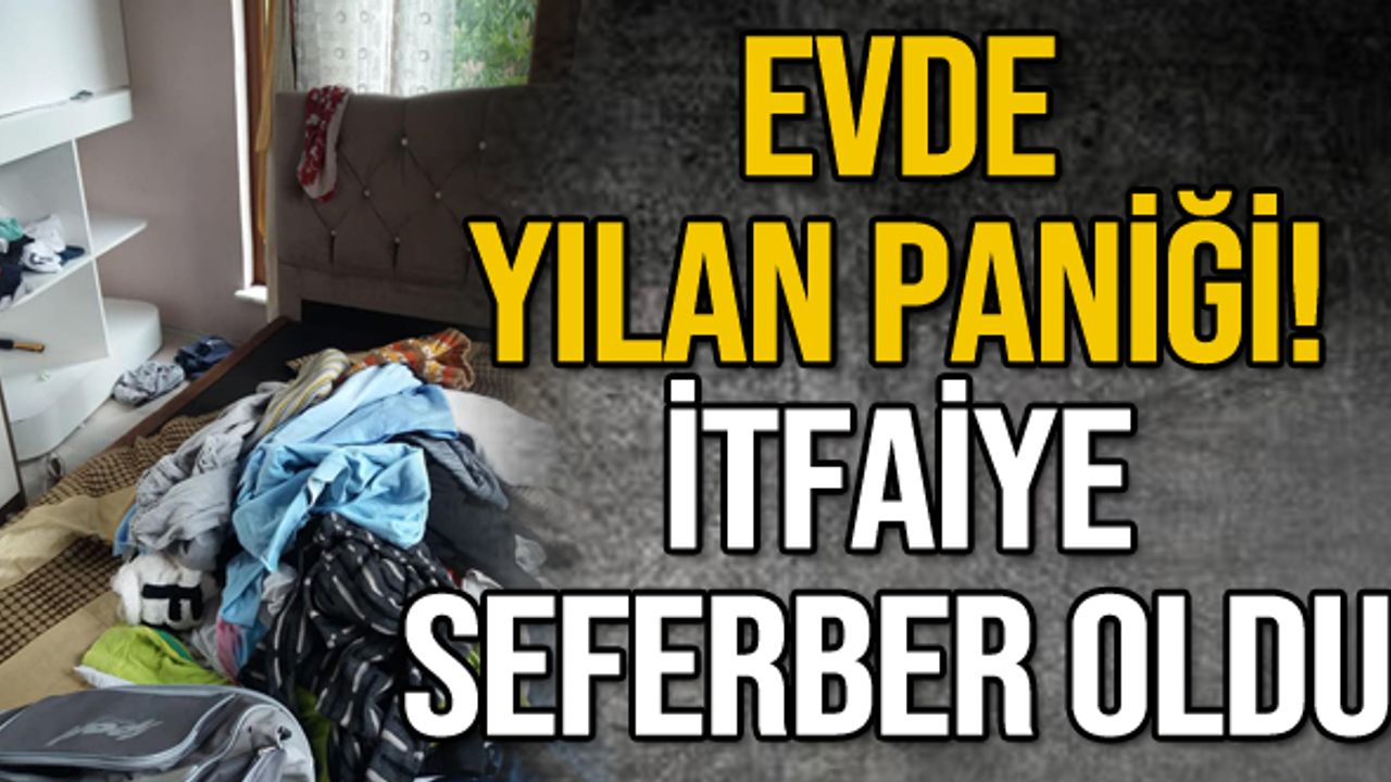 Evde yılan paniği! İtfaiye seferber oldu