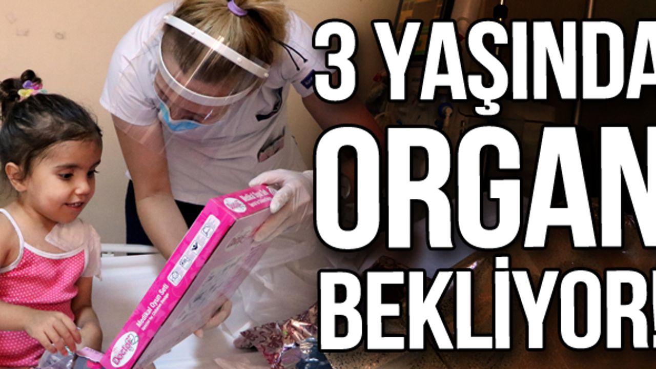 3 yaşında organ bekliyor