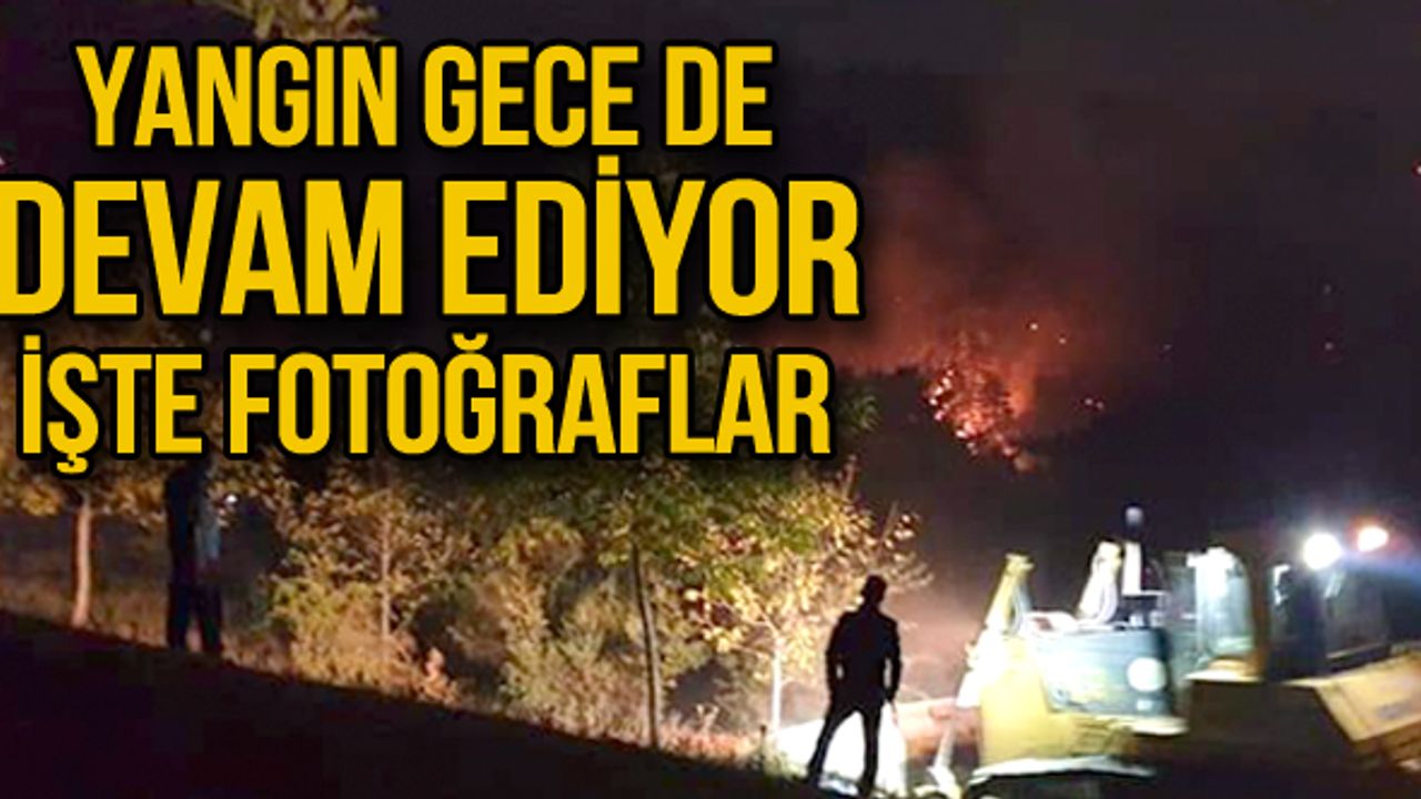 Yangın gece de devam ediyor... İşte fotoğraflar