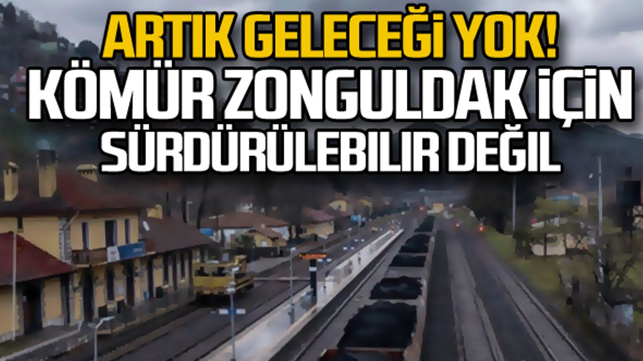 Greenpeace’in raporuna göre kömür, Zonguldak için sürdürülebilir değil