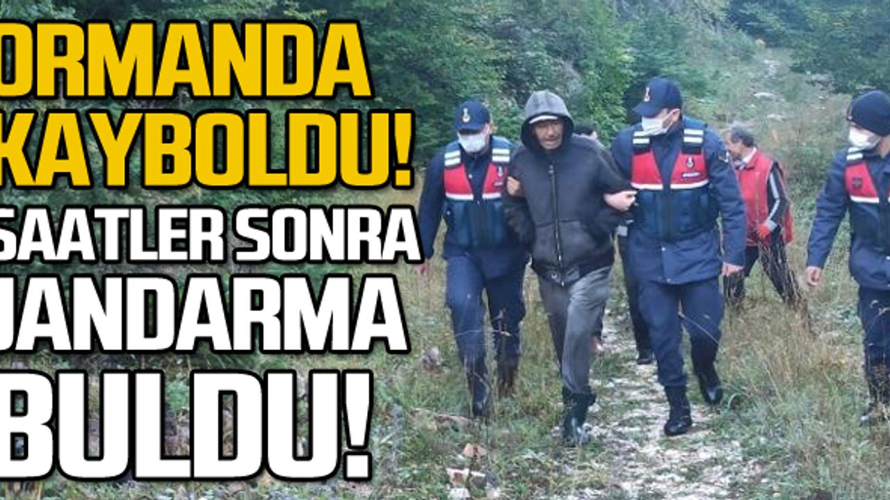 Mantar toplarken kayboldu! Jandarma saatler sonra buldu