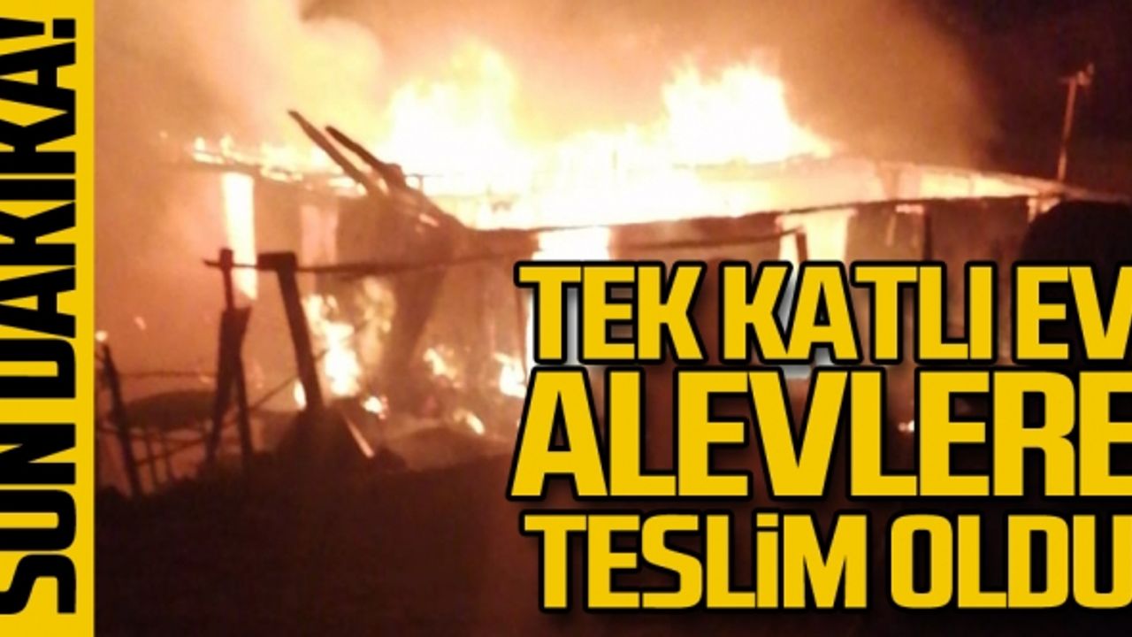 Tek katlı ev alevlere teslim oldu