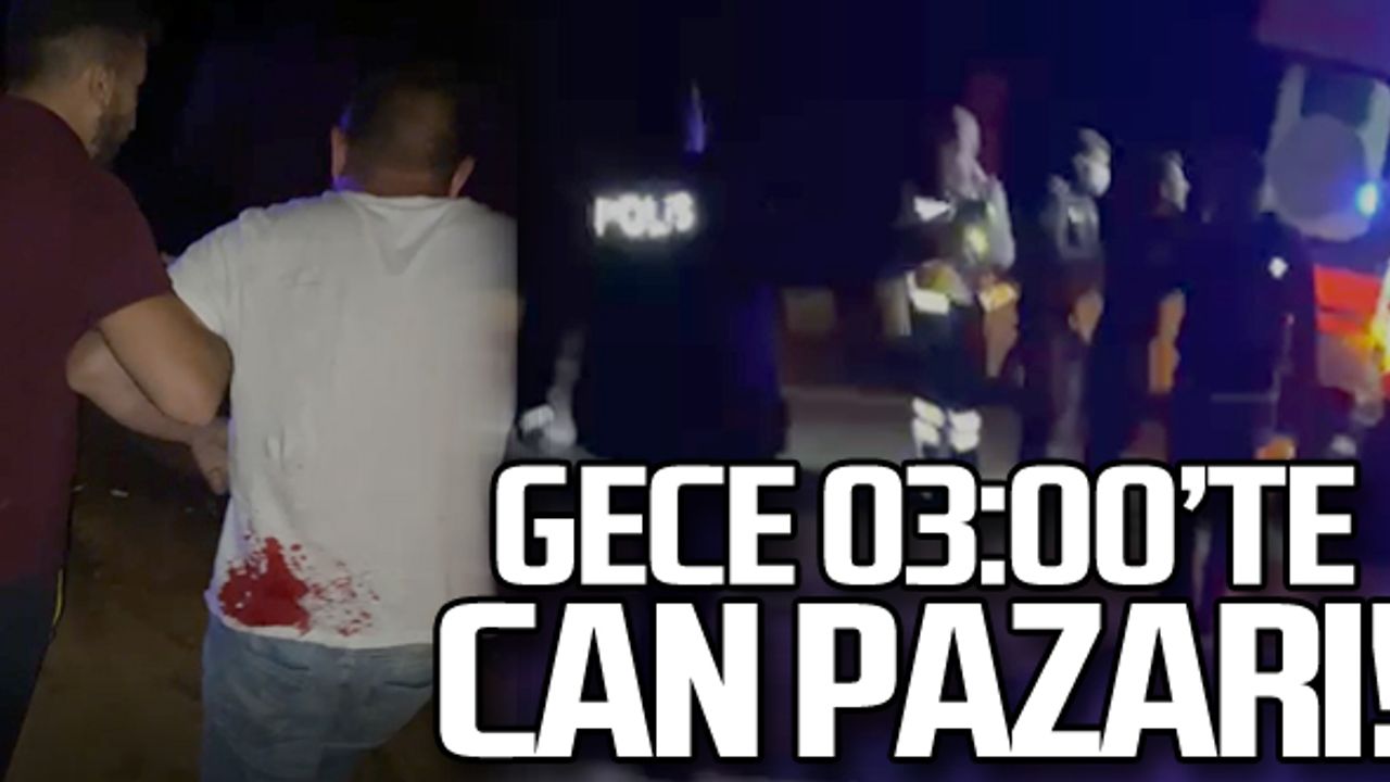 Tomruk yüklü kamyon devrildi...Gece 03:00'te can pazarı!