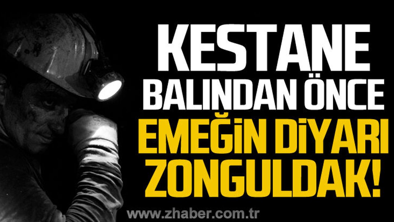 "Kestane balından önce emeğin diyarı Zonguldak"