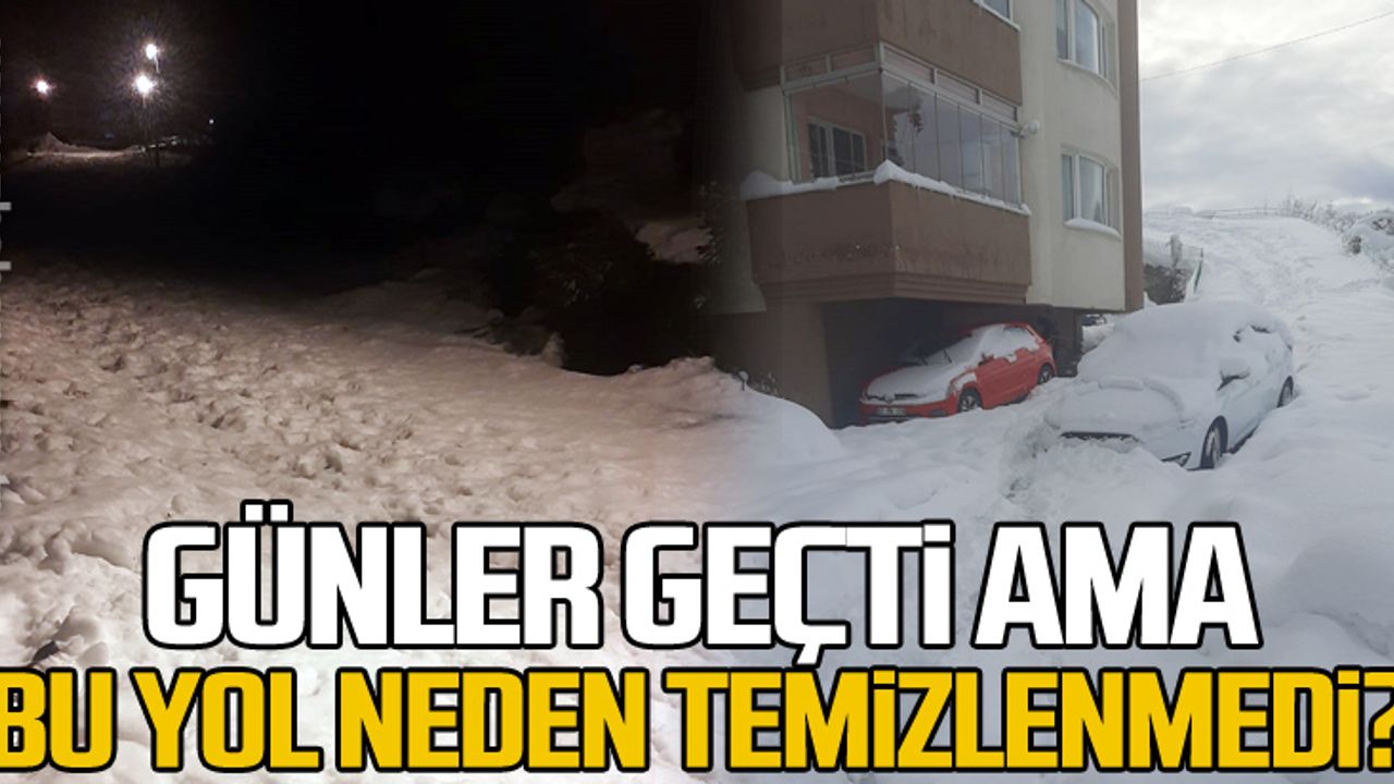 Günler geçti ama bu yol neden temizlenmedi?