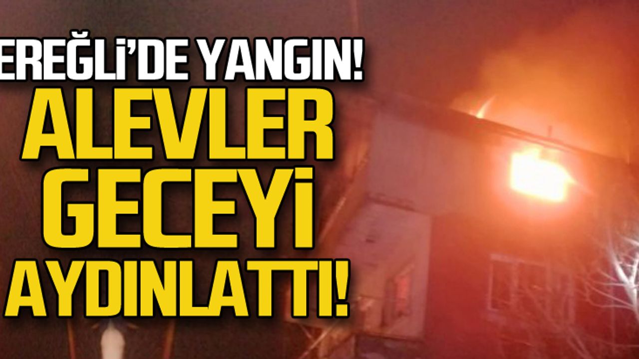 Ereğli'de yangın! Alevler geceyi aydınlattı!