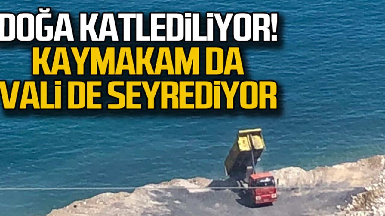 Doğa katlediliyor! Kaymakam ve vali seyrediyor!