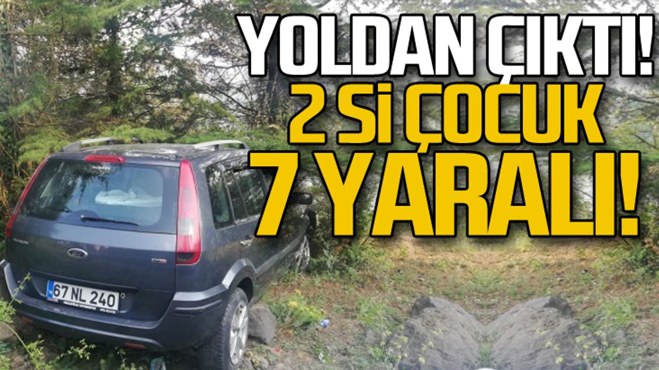 Yoldan çıktı! 2'si çocuk 7 yaralı