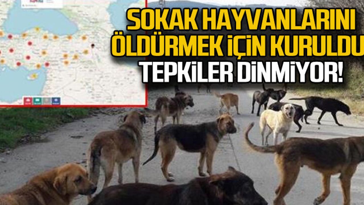 'Havrita' sokak hayvanlarını öldürmek için kuruldu!