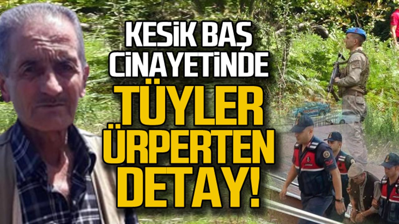 Kesik baş cinayetinde tüyler ürperten detay
