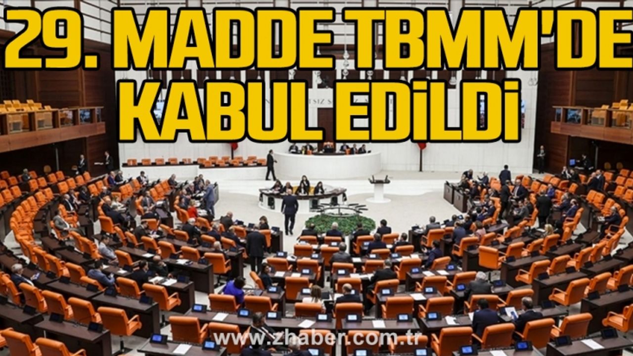 29. madde TBMM'de kabul edildi
