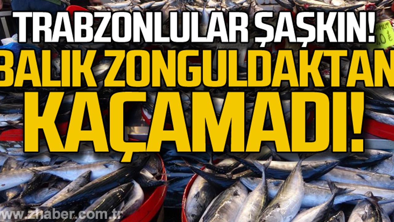 Balık Zonguldak'tan kaçamadı... Trabzonlular şaşkın!