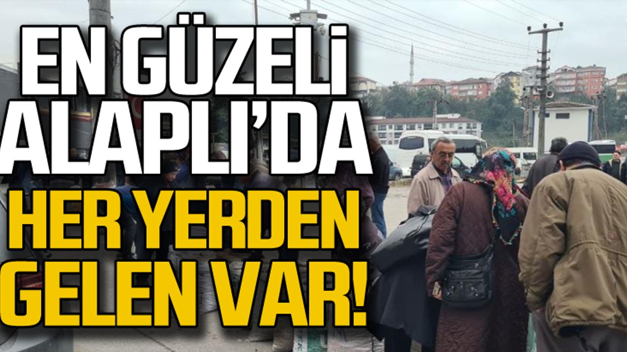 En güzeli Alaplı'da... Her yerden gelen var!