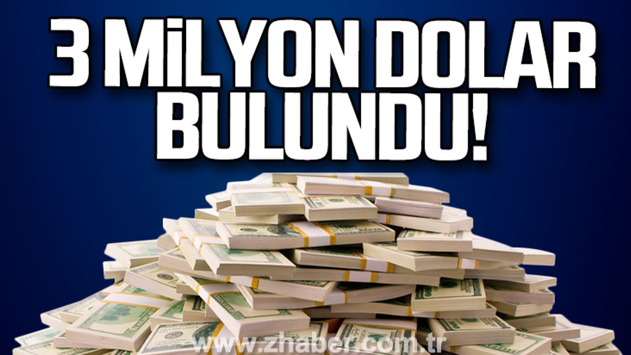 Ereğli'de 3 milyon dolar bulundu!