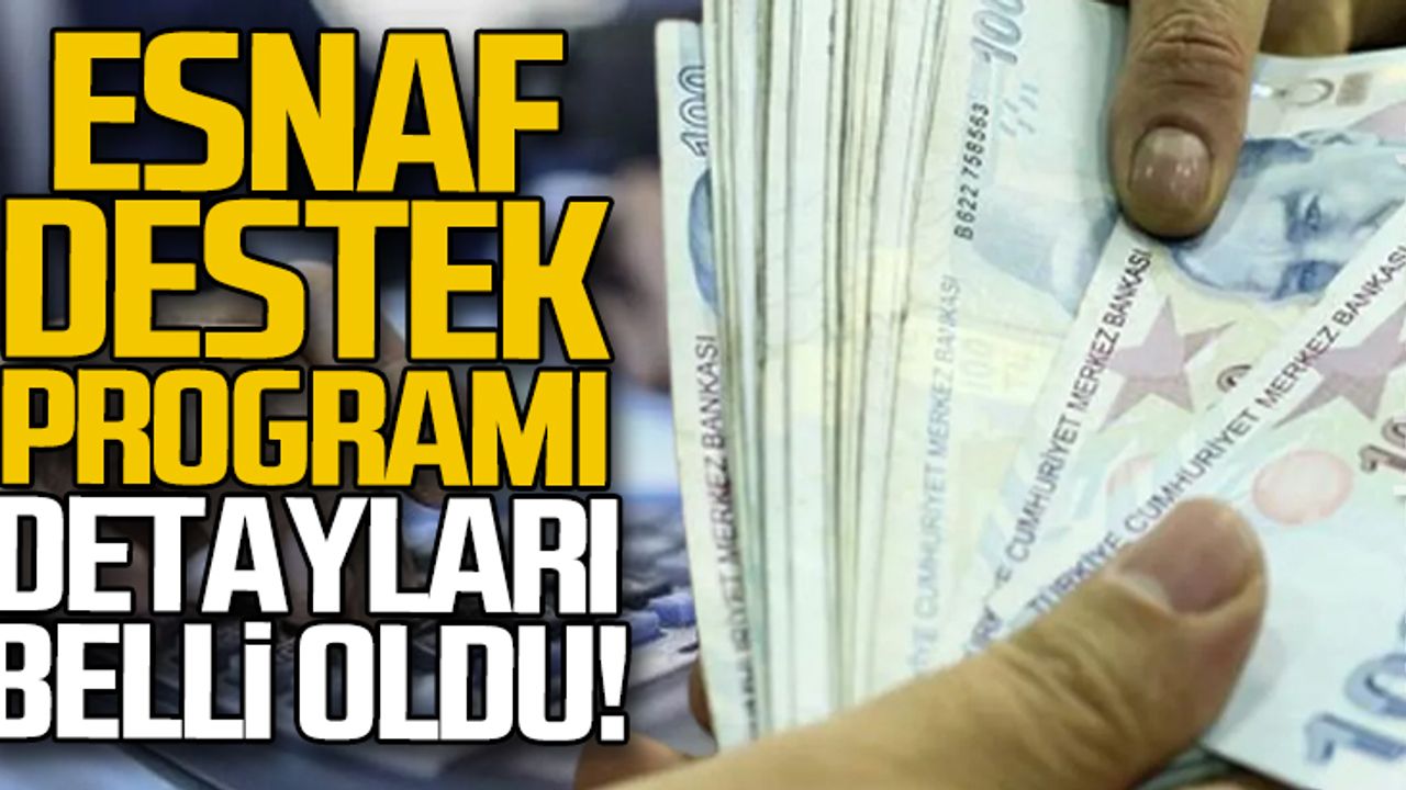 Esnaf destek programı detayları belli oldu!