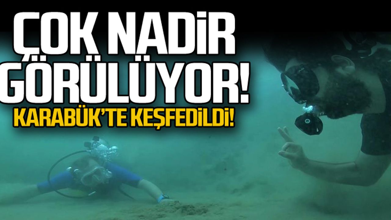 Karabük'te keşfedildi... Çok nadir görülüyor!