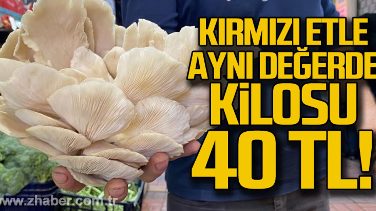 Kırmızı etle aynı değerde... Kilosu 40 TL!
