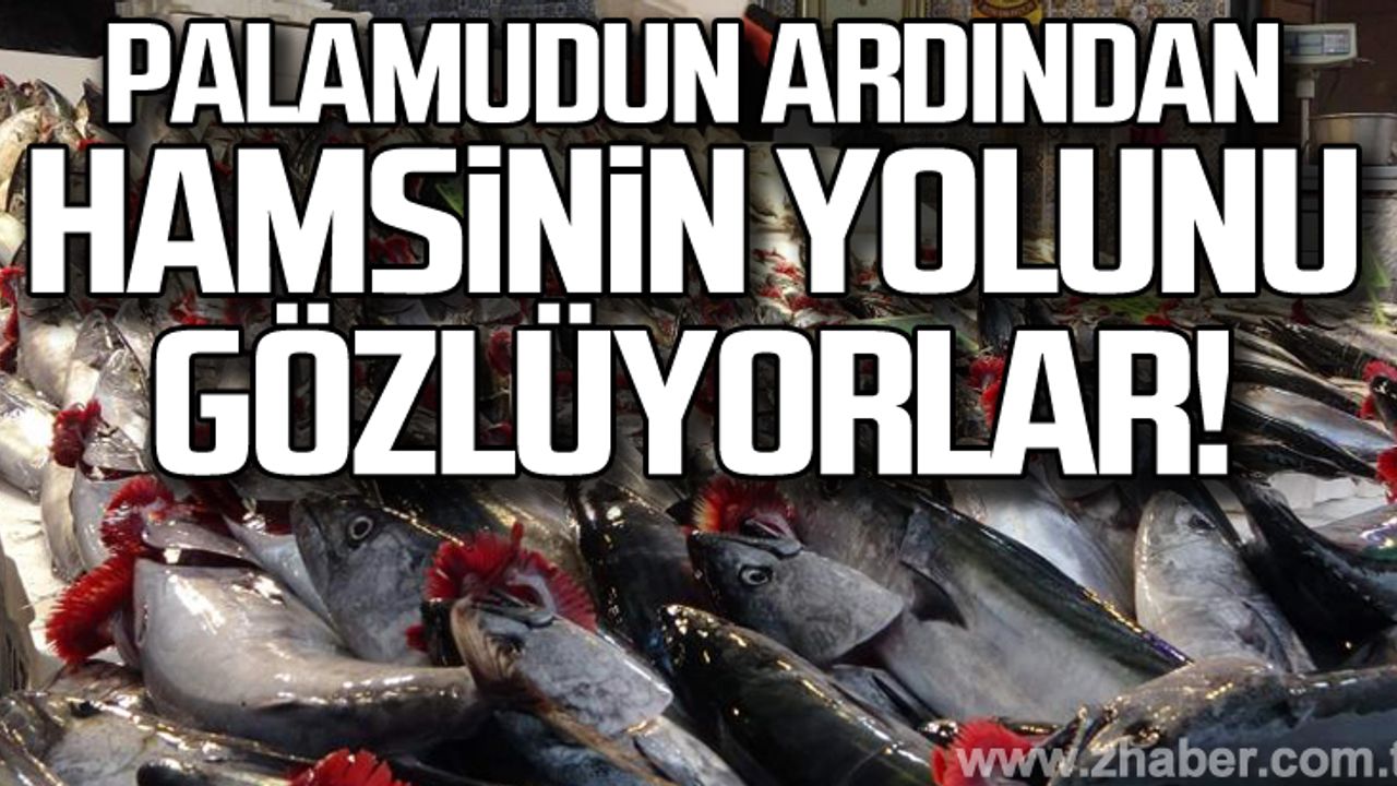 Palamudun ardından hamsinin yolunu gözlüyorlar!