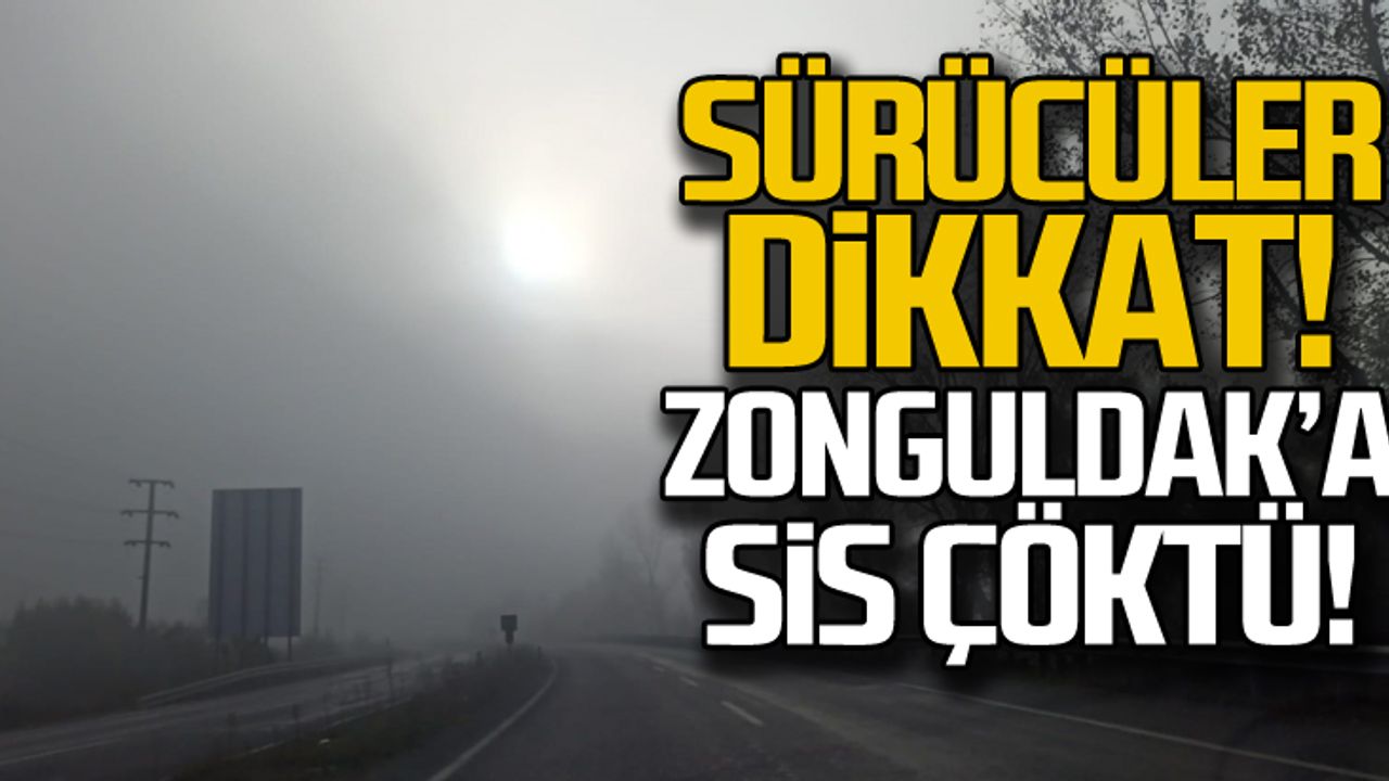 Sürücüler dikkat! Zonguldak'a sis çöktü!