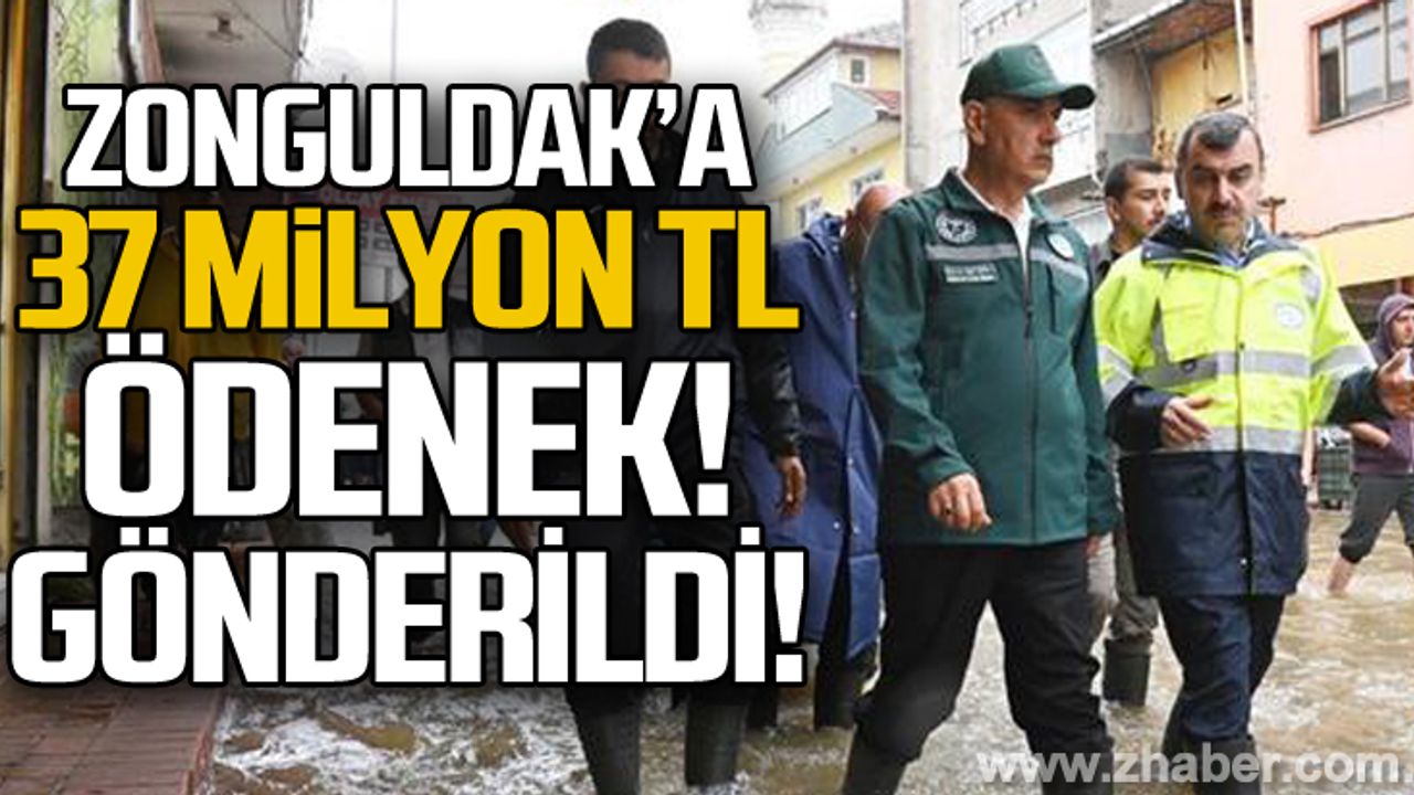 Zonguldak'a 37 milyon 152 bin TL ödenek gönderildi