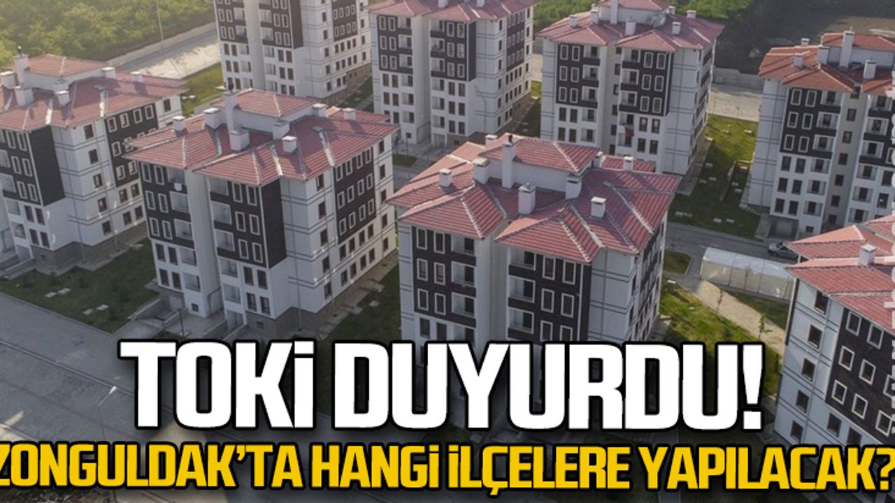 Zonguldak'ta arsa ve iş yeri hangi ilçelere yapılacak?