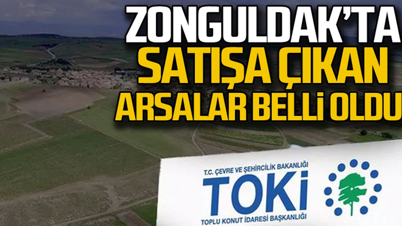 Zonguldak'ta satışa çıkan arsalar belli oldu!