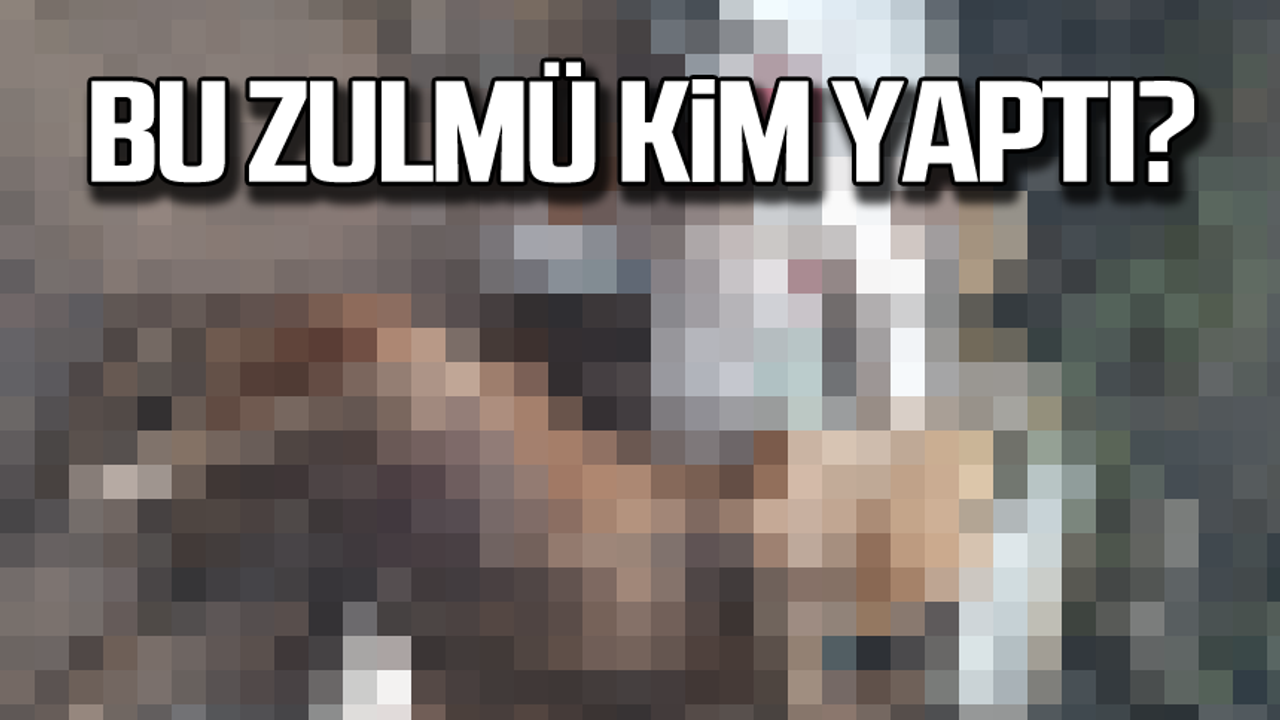 Zonguldak’ta ayakları bağlı şekilde ölüsü bulundu!