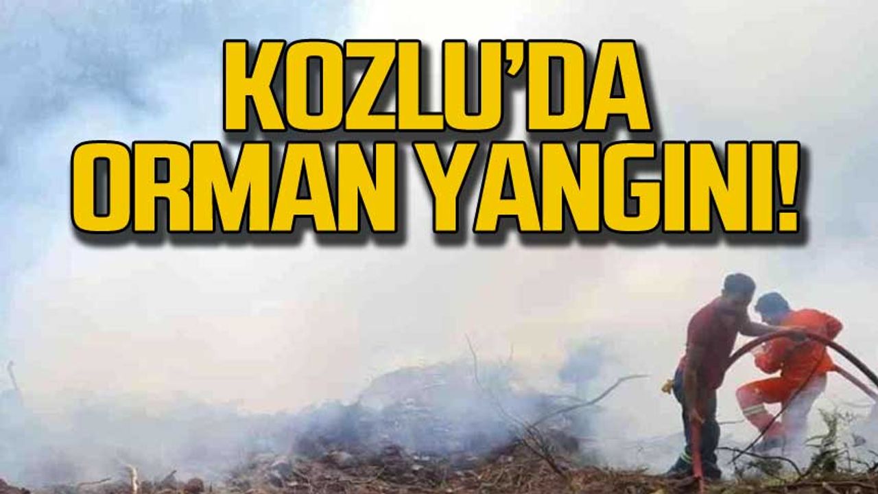 Zonguldak Kozlu'da orman yangını!