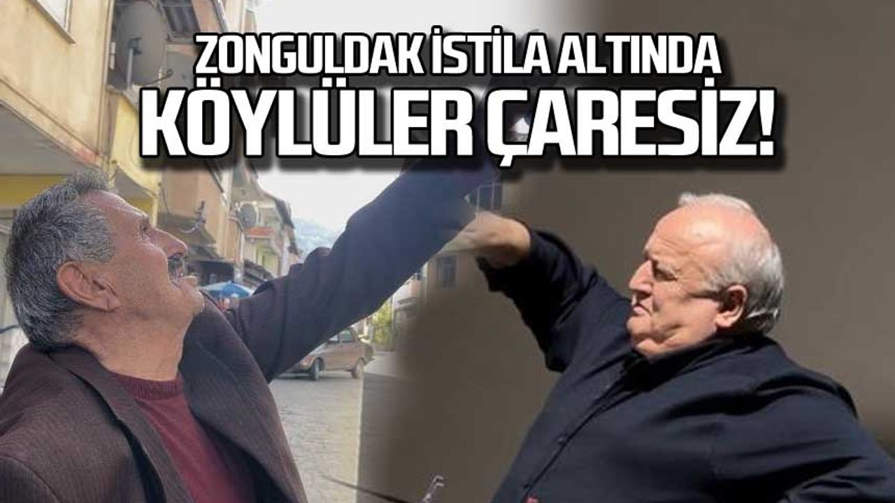 Zonguldak Devrek istila altında! Köylüler çaresiz!