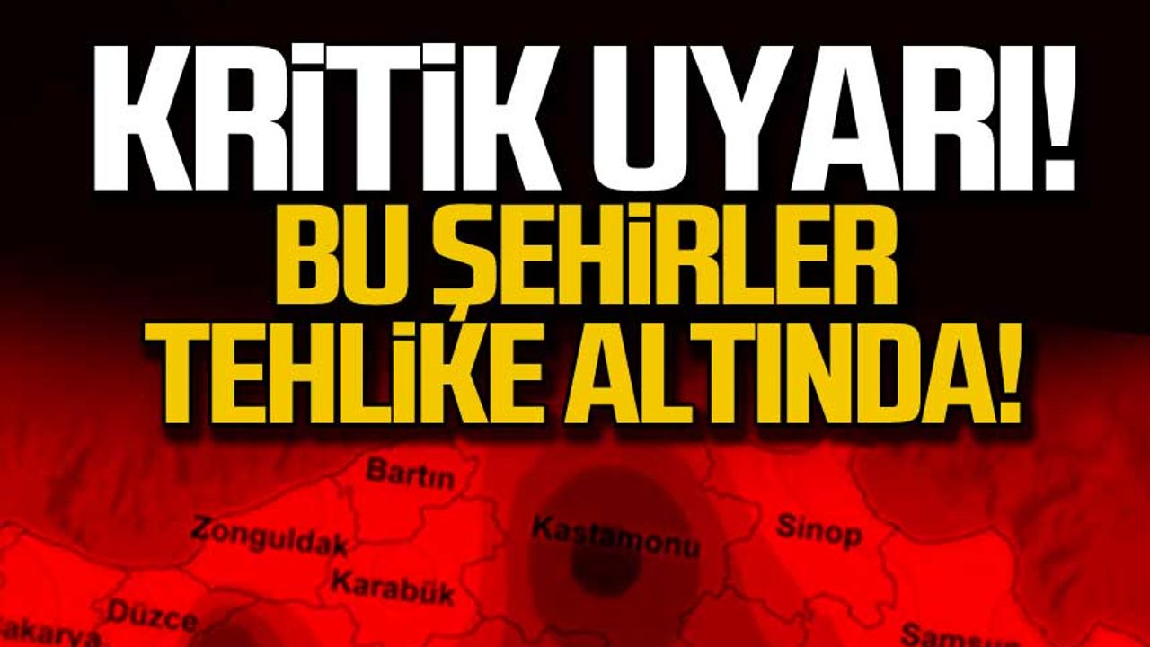 Kritik uyarı! Zonguldak-Sinop arası tehlike altında!