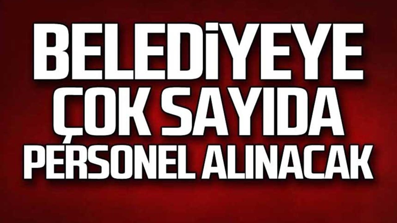 Zonguldak Kandilli Belediyesi 14 personel alacak!