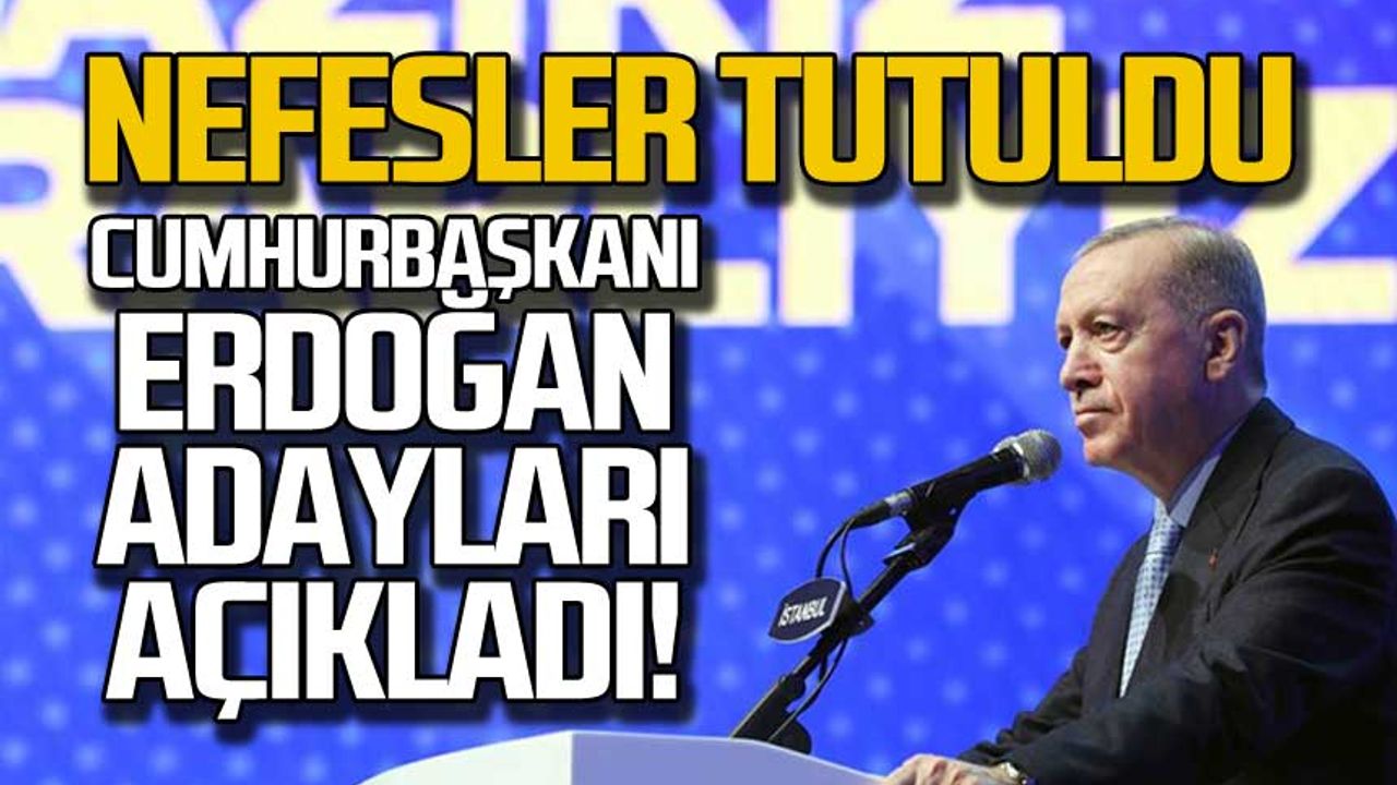 Cumhurbaşkanı Erdoğan Ak Parti'nin adaylarını açıkladı