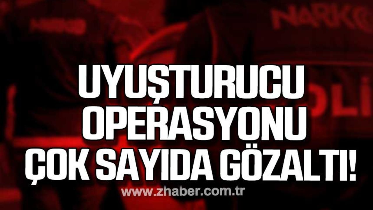 Zonguldak, Devrek, Kdz. Ereğli'de narkotik operasyonu!