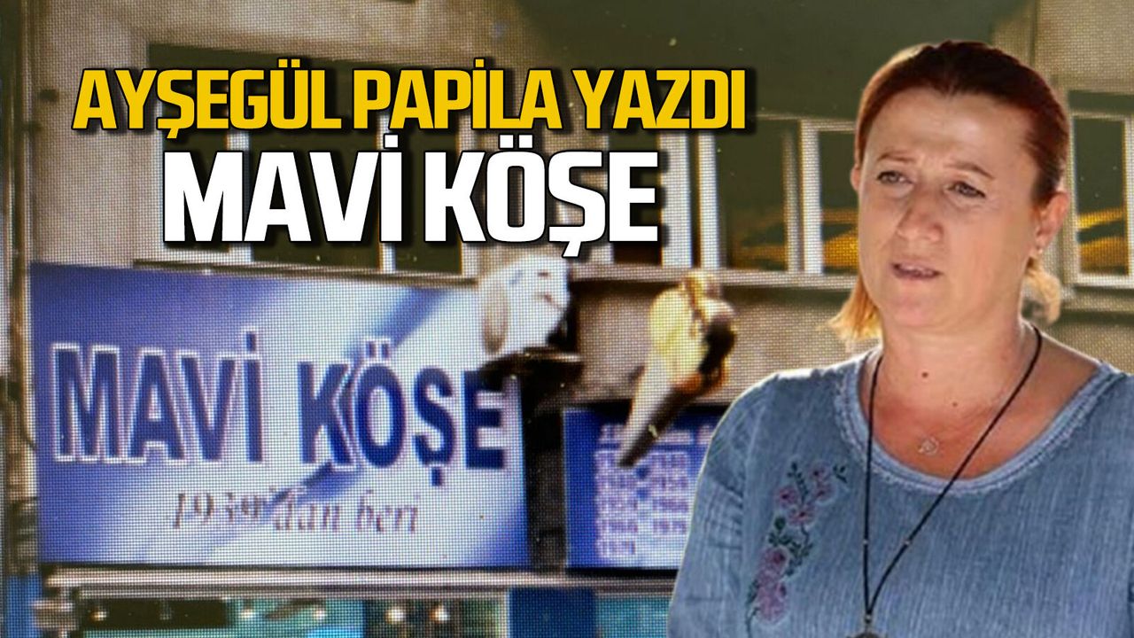 Mavi Köşe