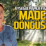 Madde Döngüsü