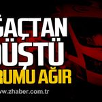 Alaplı'da incir ağacından düştü. Ağır yaralı.
