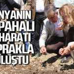Dünyanın en pahalı bahatarı toprakla buluştu