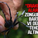 “Drakula” alarmı! Zonguldak, Bartın ve Düzce tehdit altında