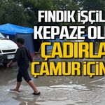 Fındık işçileri kepaze oldu... Çadırlar çamur içinde kaldıı