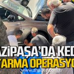 Gazipaşa Caddesi'nde kedi kurtarma operasyonu.
