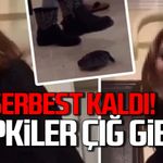 Kaplumbağa görüntülerindeki şüpheli kadın serbest bırakıldı