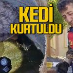 Zonguldak'ta kanalizasyon borusuna sıkışan yavru kedi kurtarıldı