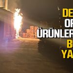 Devrek Orman Ürünleri’nde büyük yangın