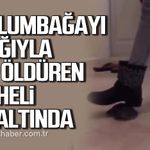 Kdz. Ereğli'de kaplumbağayı ayağıyla ezip öldüren şüpheli gözaltına alındı