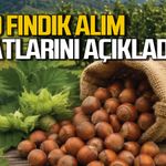 TMO kabuklu fındık alım fiyatlarını açıkladı