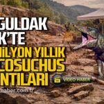 Zonguldak'ta Gelik'te 125 Milyon yıllık Turcosuchus kalıntıları