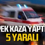 Yola fırlayan köpek kazaya neden oldu: 5 yaralı