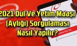 2023 Dul Ve Yetim Maaşı (Aylığı) Sorgulama Nasıl Yapılır?